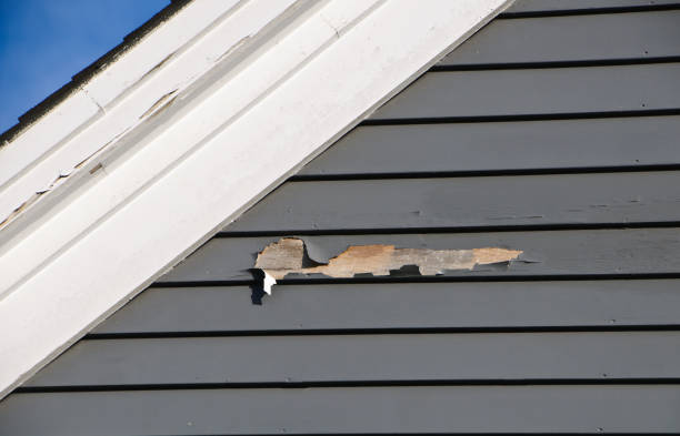 Custom Trim and Detailing for Siding in Larose, LA